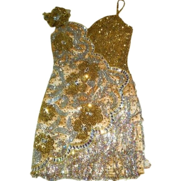 Luxury Couture Swarovski Crystals Runway Fringes Flowers Cocktail Glamour Dress - Picture 4 of 12